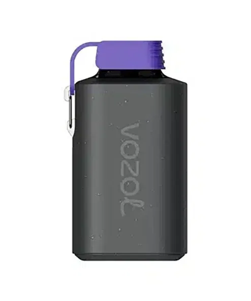 Vozol 10000 Forest Berry Storm