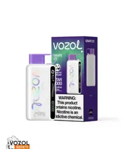 Vozol 12000 Grape ice Puff