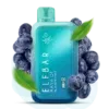 Elf Bar 13000 Blueberry Mint